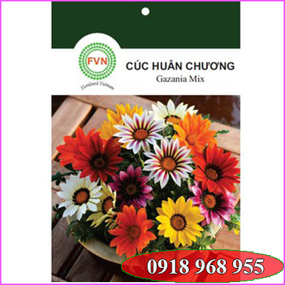 In túi hạt giống| baobigiaphat.vn